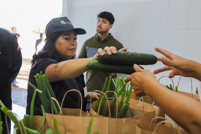 Productores de INDAP Arauco concretan primera venta de hortalizas a Sodexo