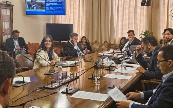 SUBREI: Avanza modernización de acuerdos con Indonesia y con Alianza del Pacífico
