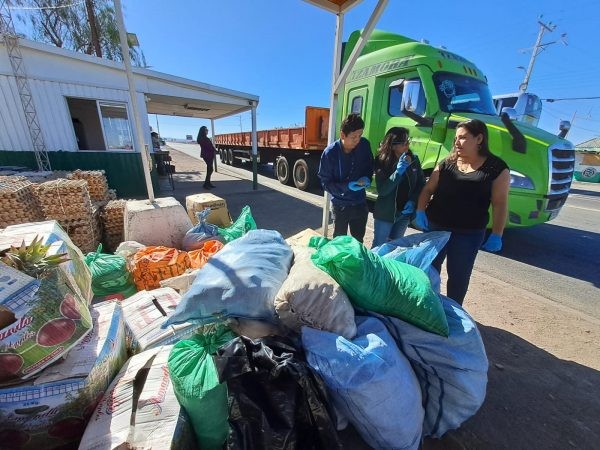 SAG Tarapacá determina barreras fitosanitarias para proteger producción agrícola