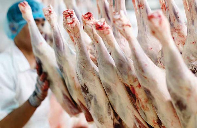 La carne de ovino australiana domina el mercado mundial
