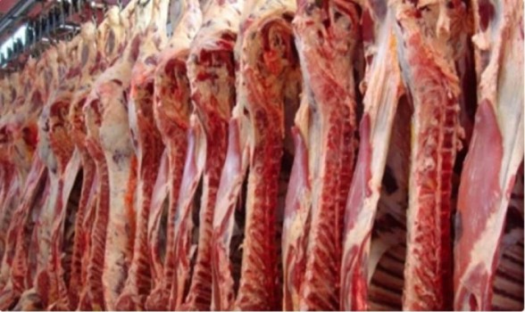Exportaciones de carne vacuna del Mercosur aumentarán 3% en 2024