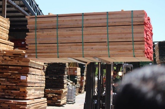 Exportaciones forestales inician el 2024 al alza