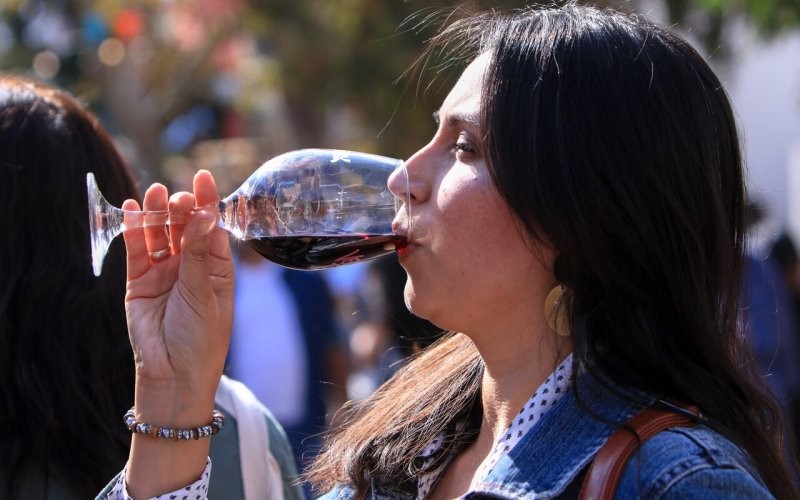 INVESTIGADORES DE LA USACH CREAN VINOS CON MENOS ALCOHOL SIN PERDER CALIDAD