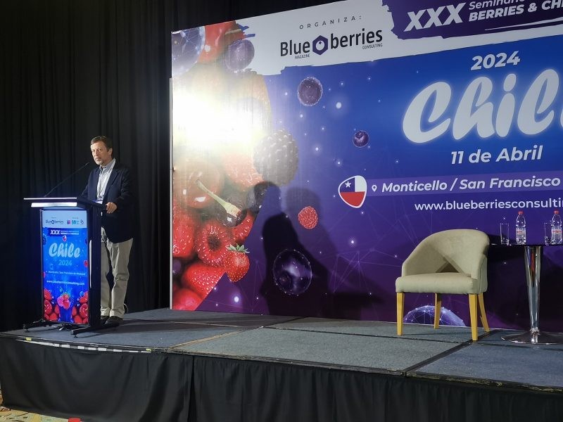 En Seminario Internacional Cherries & Berries: Representantes del Comité de Arándanos de Frutas de Chile analizaron la pasada temporada y los desafíos de la industria