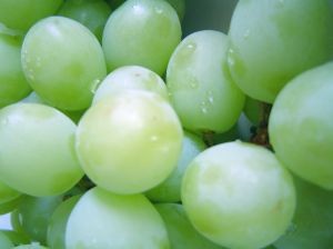 Perú: Campaña de uva de mesa finaliza con bajos rendimientos en las frutas