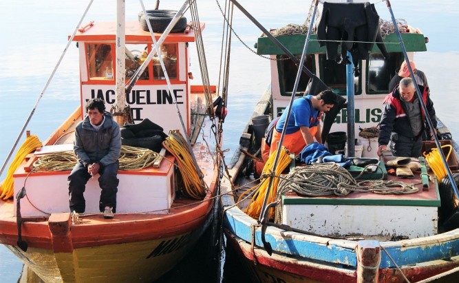 Fundación Chinquihue entregará becas de estudio a hijos e hijas de pescadores artesanales 