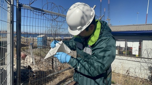 SAG Biobío evalúa positivamente sistema de inspección específica y detección precoz de Lymantria dispar