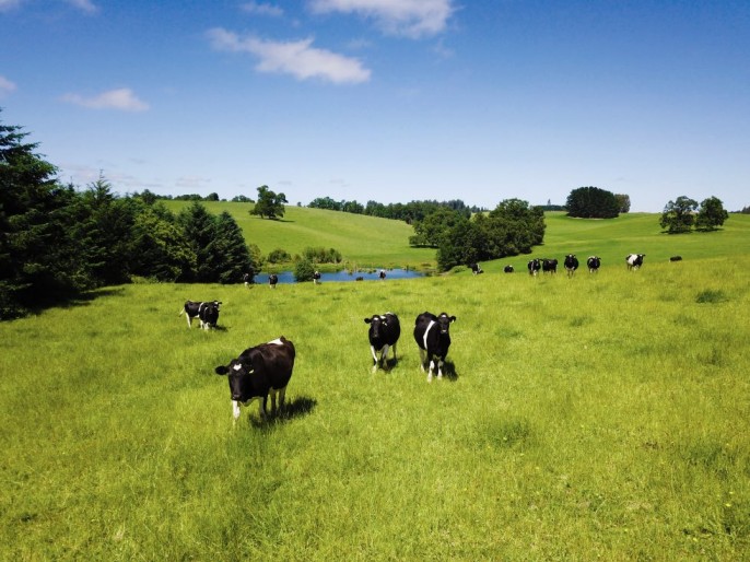Más del 15% de la leche que Nestlé recibe de sus proveedores lácteos en el país cuenta con prácticas de agricultura regenerativa