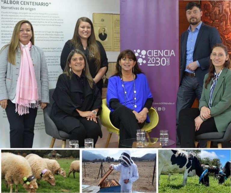 Chile aumenta la productividad en el agro incorporando tecnología e Inteligencia Artificial