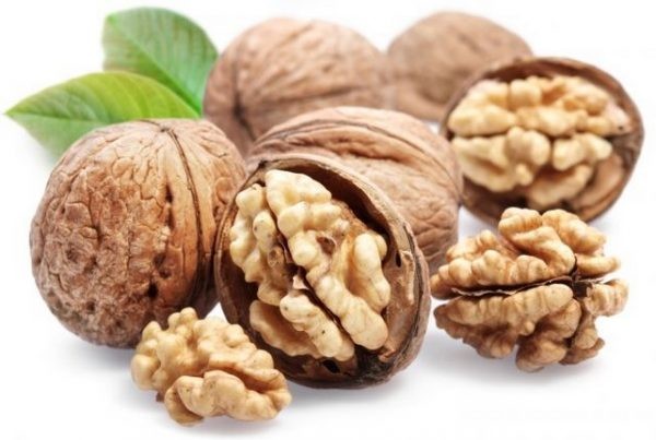 Chilenut proyecta caída en la producción de nueces entre un 15% y 25% para actual campaña