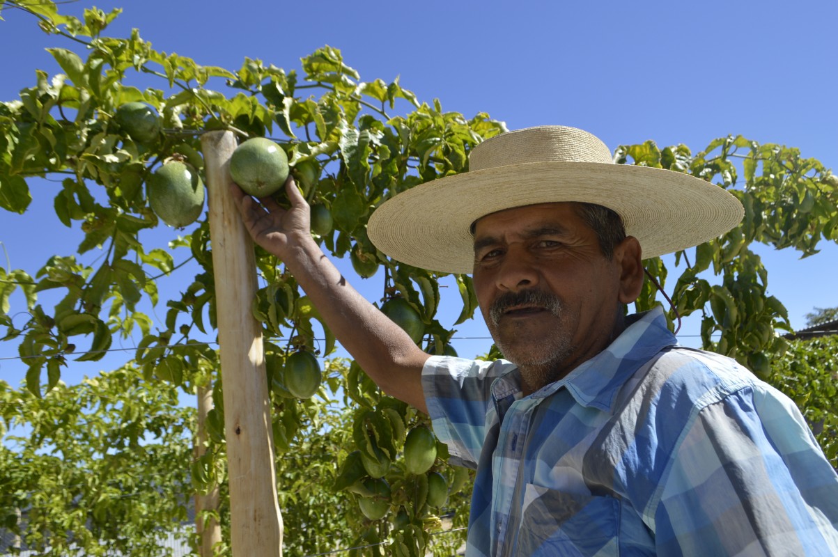 Persisten dudas sobre la implementación gradual de la ley de las 40 horas: ¿Qué pasará con el agro? ¿Y el artículo 22?