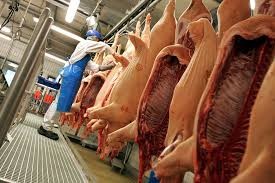 INFORMES RABOBANK Y USDA INDICAN QUE EL CONSUMO MUNDIAL DE CARNE DE CERDO SE MANTENDRÁ ESTABLE Y QUE LAS PERSPECTIVAS PARA LOS MERCADOS AVÍCOLAS SIGUEN SIENDO POSITIVAS