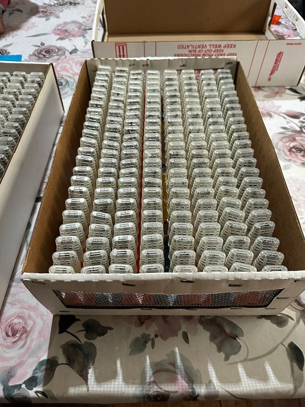 Tres apicultores de Santa Bárbara exportan abejas reinas a Canadá