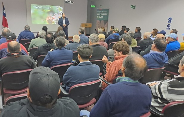 Proyecto busca obtener tomates, lechugas y cebollas agroecológicas utilizando biocontroladores