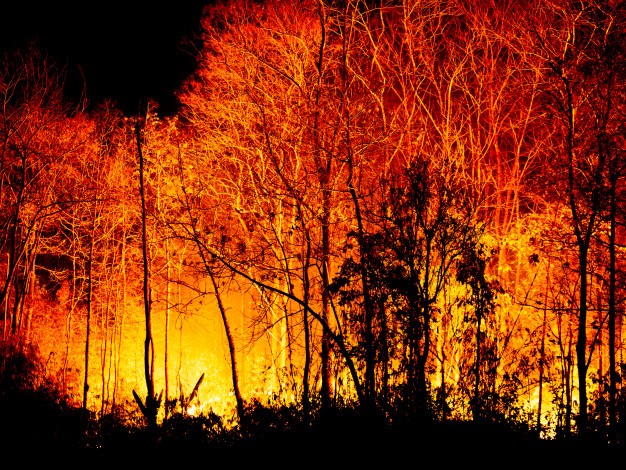 CONAF entregó balance de incendios temporada 2023-2024