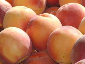 Debby Wang, de SPM Biosciences (Beijing) Inc. (China): Las exportaciones de fruta de carozo de Chile alcanzan un nuevo récord y nuestros productos contribuyen a la calidad de la fruta