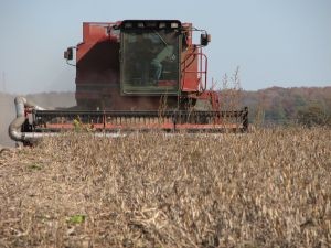 Argentina: Informe Anual de Cereales y Piensos