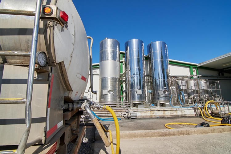 Recepción de leche cruda por planta cierra con resultado mixto a febrero