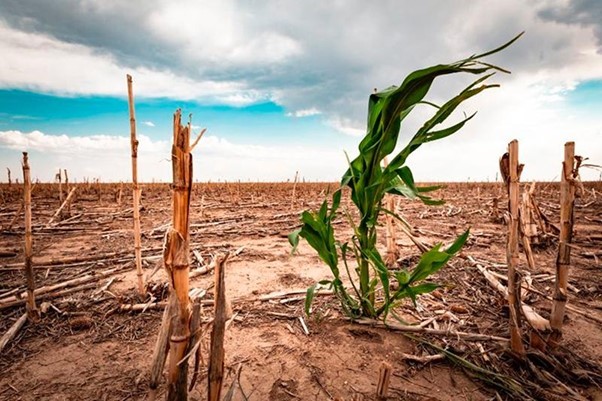 Impactos y necesidad de adaptación: ¿Cómo enfrentar en Chile las consecuencias de la crisis alimentaria ante la amenaza del cambio climático?