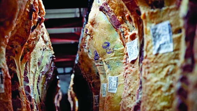 PRODUCCIÓN DE CARNE EN VARA DE GANADO BOVINO AUMENTÓ 3,7% INTERANUALMENTE EN EL TRIMESTRE ENERO-MARZO DE 2024