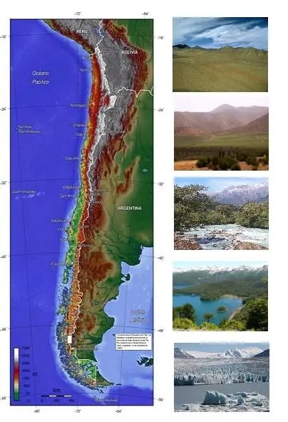 La diversidad vitivinícola de Chile: Un viaje por sus valles y cepas