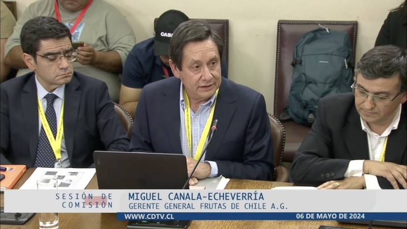 En Comisión de Agricultura de la Cámara de Diputados: Frutas de Chile plantea importancia de lograr reapertura del mercado peruano para manzanas y carozos chilenos