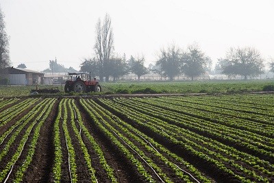 INDAP llama a agricultores del Biobío a postular a programa de recuperación de suelos agropecuarios