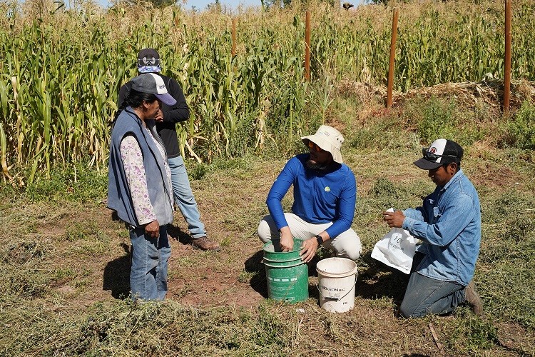 Programa ATF de SQM Litio comenzó la toma de muestras de suelos de terrenos de 13 agricultores de San Pedro de Atacama