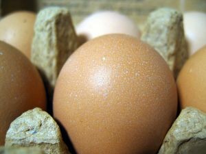 Ministerio de Agricultura e industria anuncian avance en la producción de huevos durante el primer trimestre de 2024