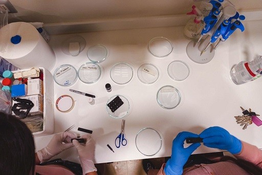 Crean microdispositivo que identifica peligrosos tóxicos de pesticidas del agro