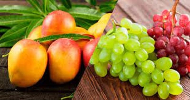 Perú: Agroexportaciones no tradicionales cayeron -0.9% en valor en marzo del 2024