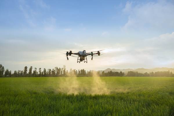 Emplean drones con IA para el control de malezas