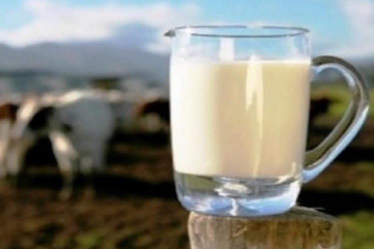 El IPC de los productos lácteos anota un comportamiento al alza en abril 2024