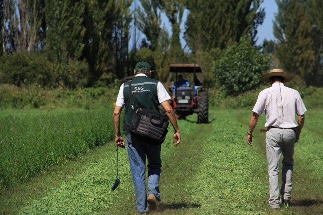 SAG Biobío llama a agricultores a postular a concursos del Programa Recuperación de Suelos