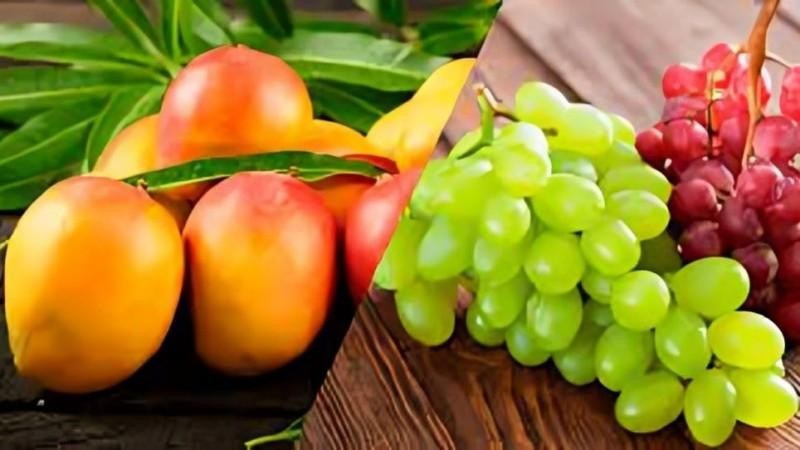 Perú: Producción nacional agropecuaria disminuyó -0.75% en el primer trimestre del 2024