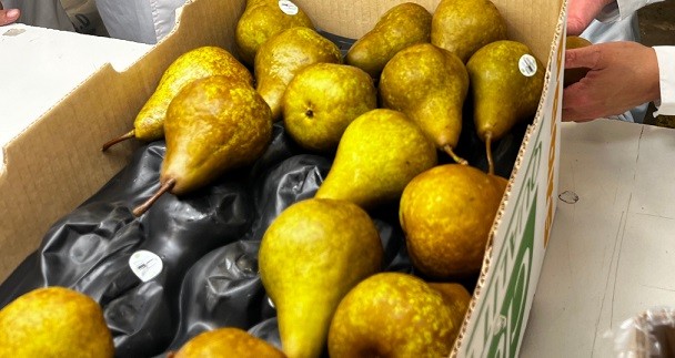 Exportaciones no cobre - no litio suben 8,7% en abril