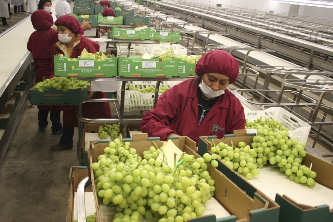 Perú: Exportaciones regionales crecieron 4.8% en el primer trimestre del año