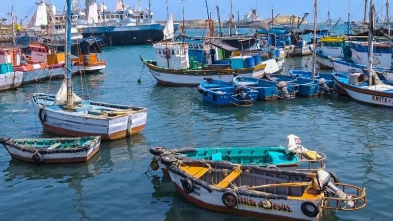 Perú: Exportación pesquera primaria crecería 75.2% y la no tradicional se expandiría 4% en 2024