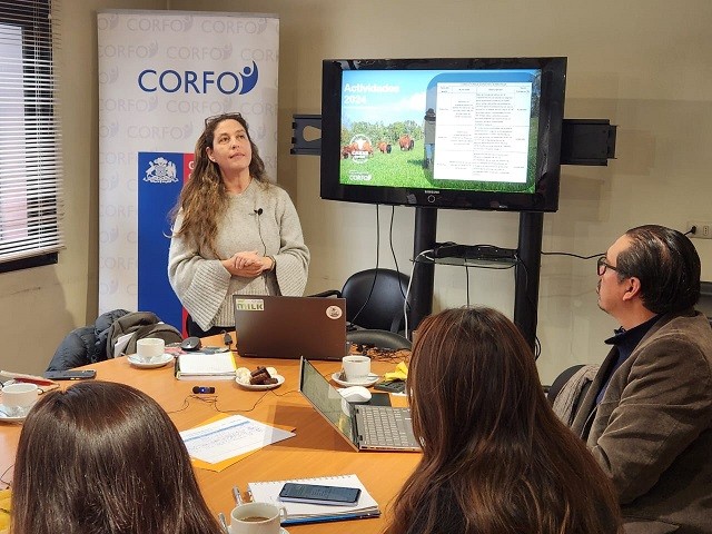 Programa Territorial Integrado de la Carne Bovina en Los Lagos impulsa al sector mediante alianza interdisciplinaria