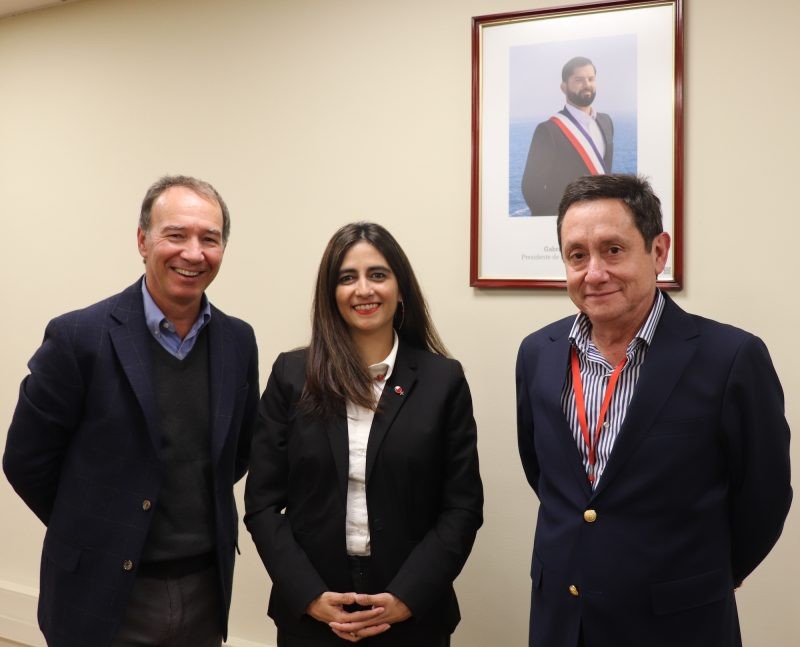 Frutas de Chile y Subrei se reúnen para analizar avances en Systems Approach para uvas de mesa chilena