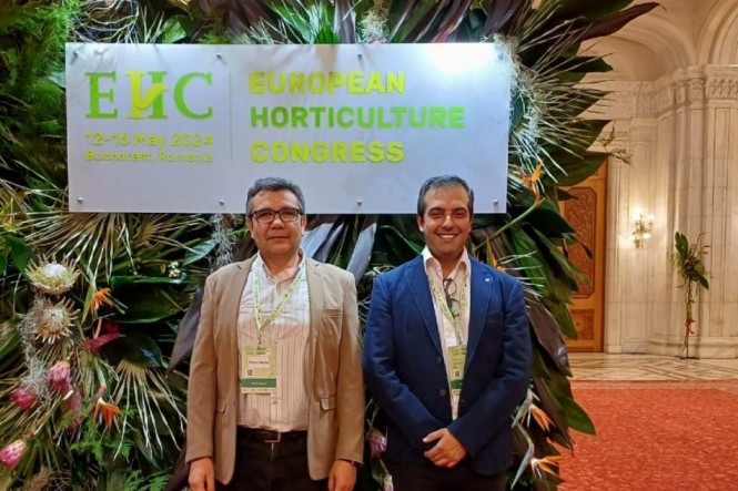 Académicos de Agronomía UdeC presentan innovaciones en fruticultura en Congreso de Horticultura en Bucarest