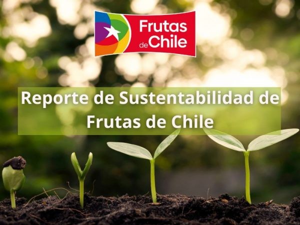 Avanza Reporte de Sustentabilidad de Frutas de Chile