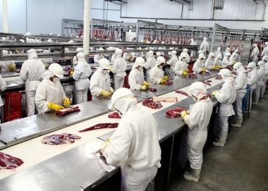 Las exportaciones argentinas, a un paso del récord en 12 meses