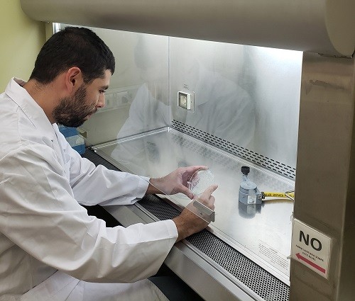 Desarrollarán tecnología basada en cepas de levadura, contribuirá a preservar vida útil de berries