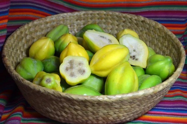 Ecoripe lanza un nuevo programa de papaya de montaña andina cultivada en Chile