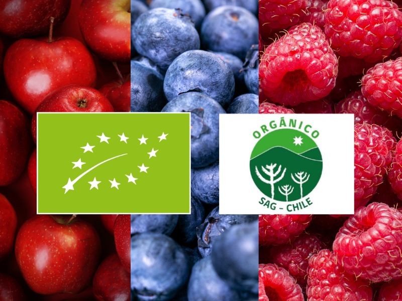 Permanece vigente y sin cambios Acuerdo de Agricultura Orgánica entre Chile y la Unión Europea