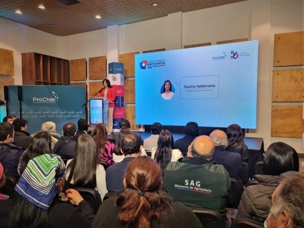 ProChile destaca diversificación de los envíos nacionales en cuenta pública participativa 2023