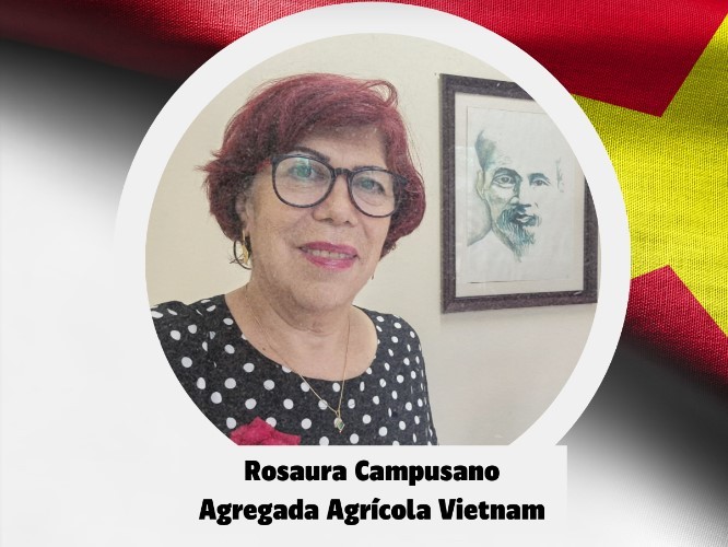 EN ENTREVISTA CON CHILECARNE, ROSAURA CAMPUSANO, AGREGADA COMERCIAL DE CHILE EN VIETNAM, ABORDÓ LOS PRINCIPALES DESAFÍOS QUE ENFRENTA NUESTRO PAÍS EN LA EXPORTACIÓN DE PRODUCTOS A VIETNAM