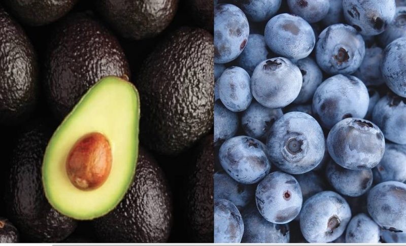 Indonesia y México buscan ampliar comercio bilateral agrícola centrándose en paltas y berries