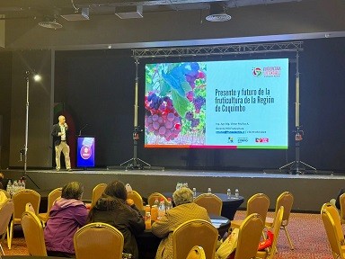Región de Coquimbo. Expertos apuestan por la cereza para impulsar la competitividad de la fruticultura regional